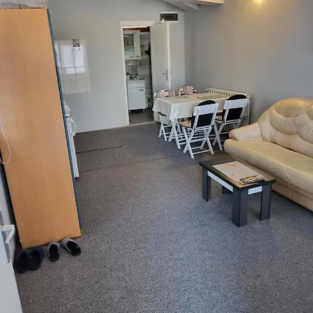Dorsi Belgrade